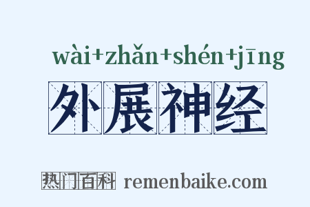 外展神经是什么意思的图片